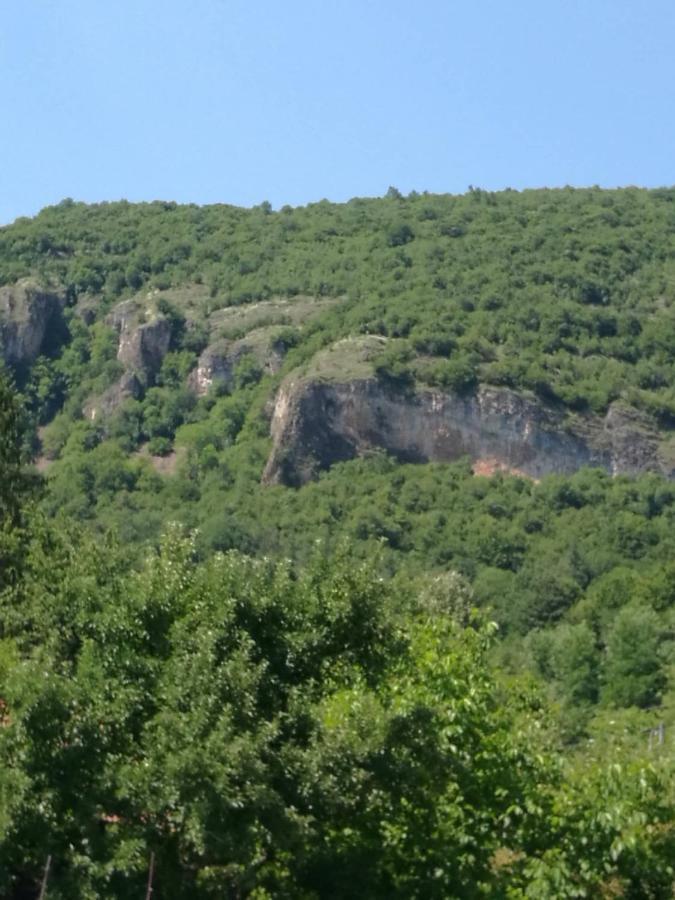 Самостоятелни Стаи В Къща За Гости Балкан Ribarica Extérieur photo